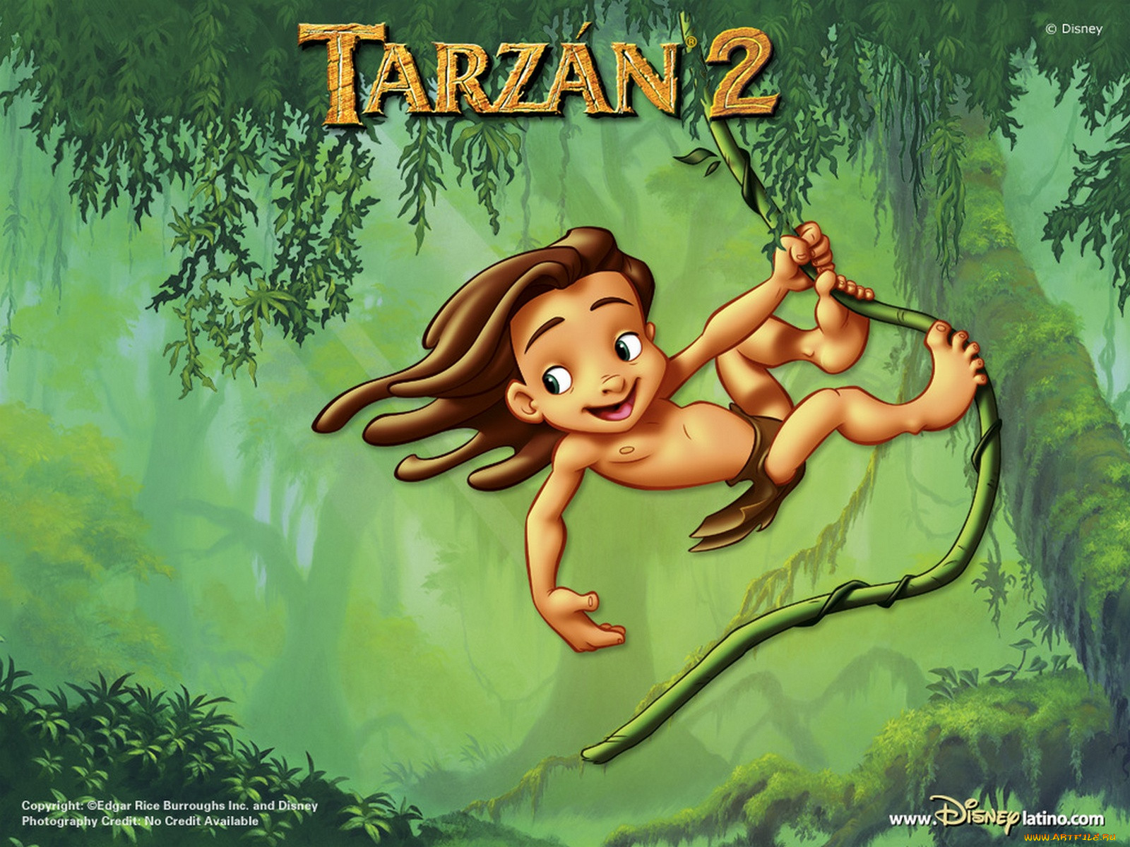 , tarzan, ii